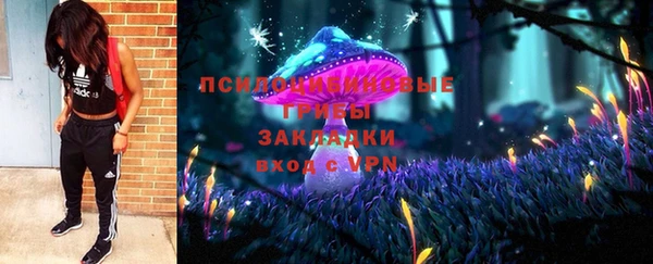 амф Зеленокумск