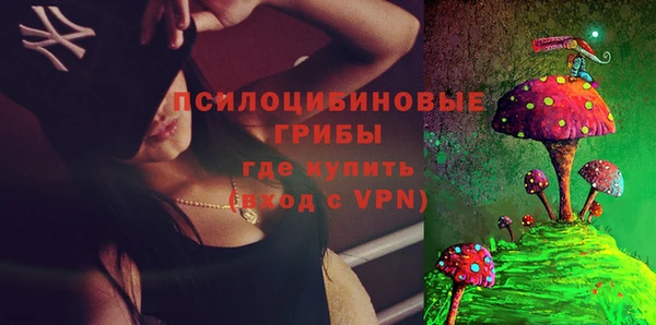 ГАЛЛЮЦИНОГЕННЫЕ ГРИБЫ Зерноград