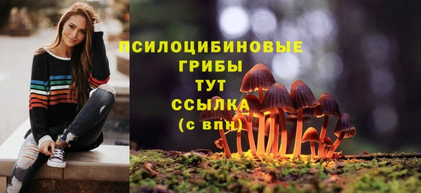 метадон Зеленодольск