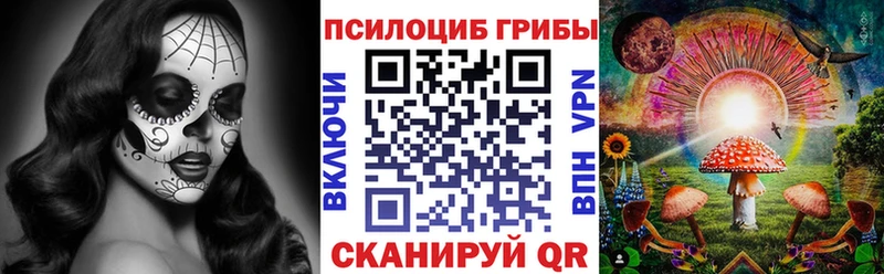 Псилоцибиновые грибы Psilocybe  Купить где  Горячий Ключ 